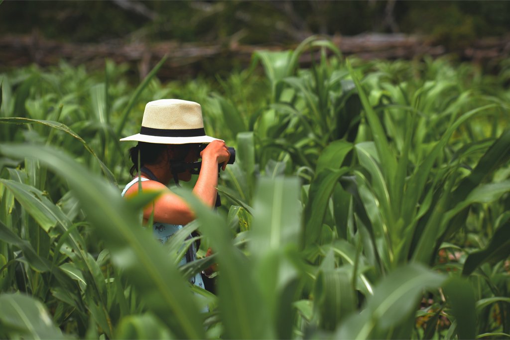 Regerative-Traveler Travelers discovering Mexito through Authentic Travel Regenerative Tour