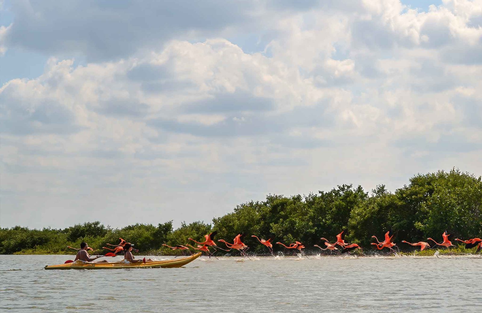 Kayaking at the Chuburna Reserve during a Mexico Family Trip