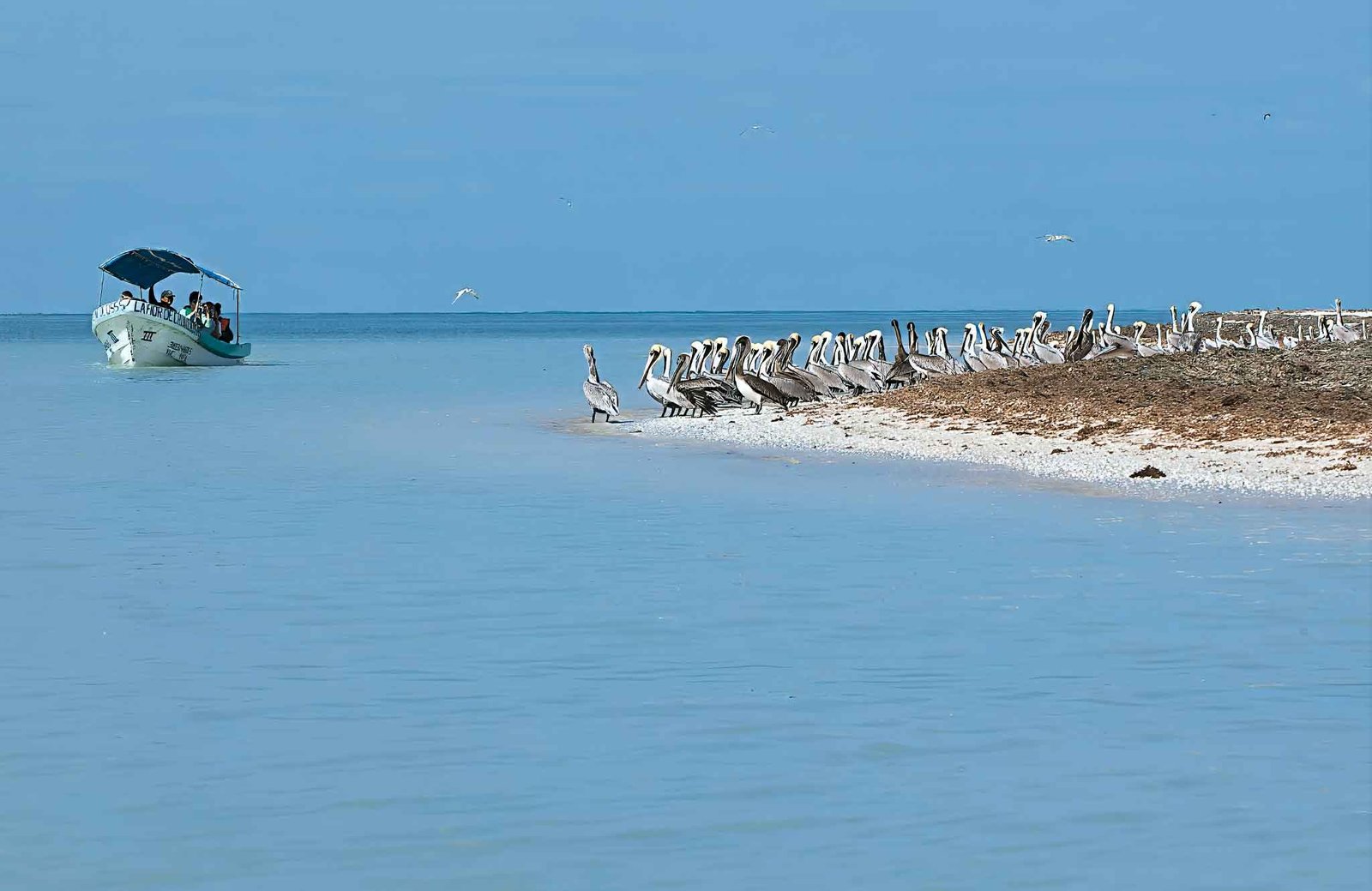 Mexico Nature and Culture Tour 
